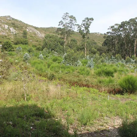 Alen De Louro - 5 Ardeleiro * Gándara